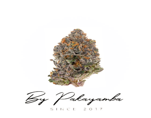 BLUE MERINGUE  16 % CBG  | CBD pas cher | Code promo | Acheter du CBD en France | PAKAYAMBA