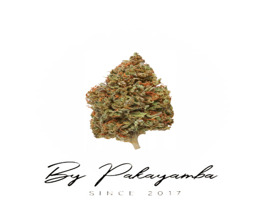 CALI US CBD  -  CBG | CBD pas cher | Code promo | Acheter du CBD en France | PAKAYAMBA