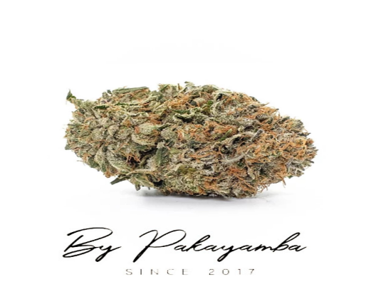 CREAM AND CHEESE- 22% CBD | CBD pas cher | Code promo | Acheter du CBD en France | PAKAYAMBA