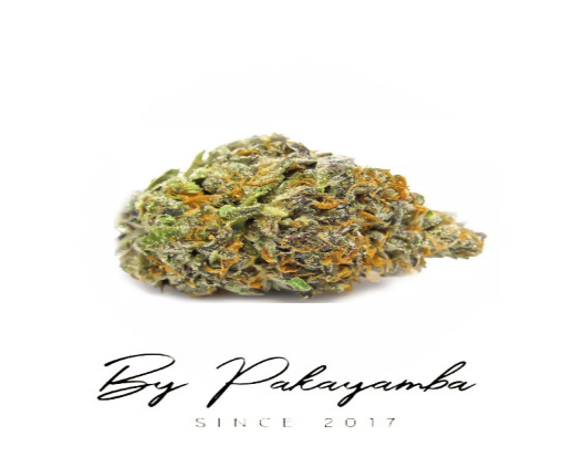 GELATO INDOOR - 15% CBD | CBD pas cher | Code promo | Acheter du CBD en France | PAKAYAMBA