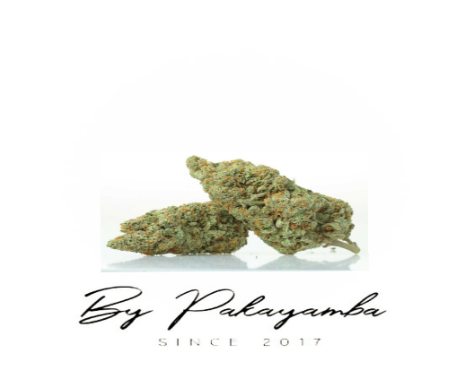 GRAPE FRUIT | INDOOR | 13.9% CBD  | CBD pas cher | Code promo | Acheter du CBD en France | PAKAYAMBA