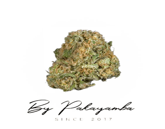 HARLEY QUEEN CBG  | CBD pas cher | Code promo | Acheter du CBD en France | PAKAYAMBA