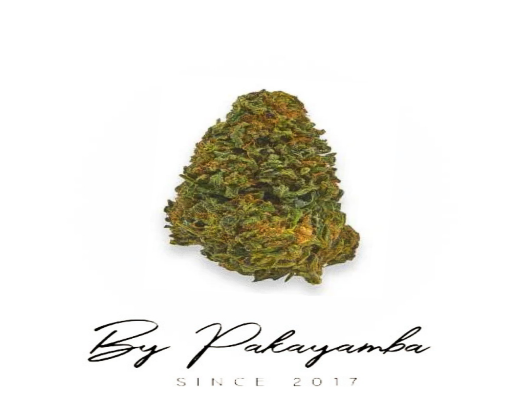HAWAIENNE HAZE CBG ROSIN CBN  | CBD pas cher | Code promo | Acheter du CBD en France | PAKAYAMBA