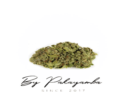 HAZE INDOOR CBD | CBD pas cher | Code promo | Acheter du CBD en France | PAKAYAMBA