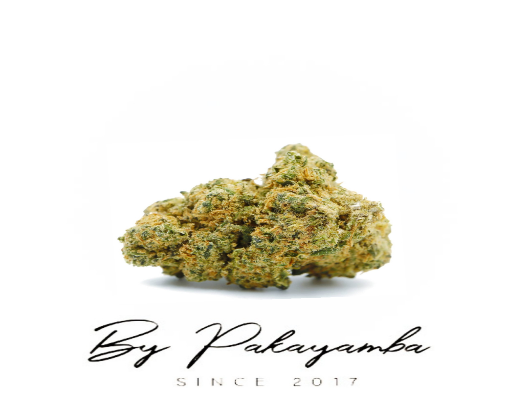 JACK FROST CBD| CBD pas cher | Code promo | Acheter du CBD en France | PAKAYAMBA