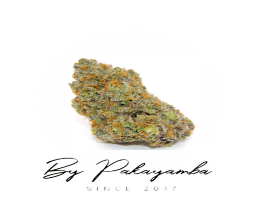 LEMON SKUNK - 20% CBD | CBD pas cher | Code promo | Acheter du CBD en France | PAKAYAMBA