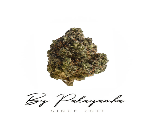 MILKY WAY  INDOOR - 59% CBN | CBD pas cher | Code promo | Acheter du CBD en France | PAKAYAMBA