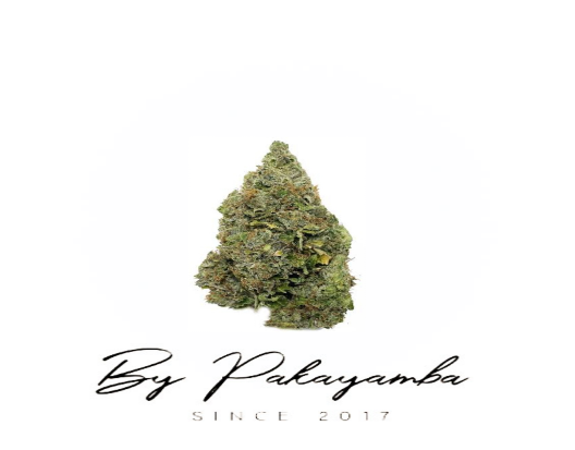 GRAPE FRUIT | INDOOR | 14.5% CBD  | CBD pas cher | Code promo | Acheter du CBD en France | PAKAYAMBA