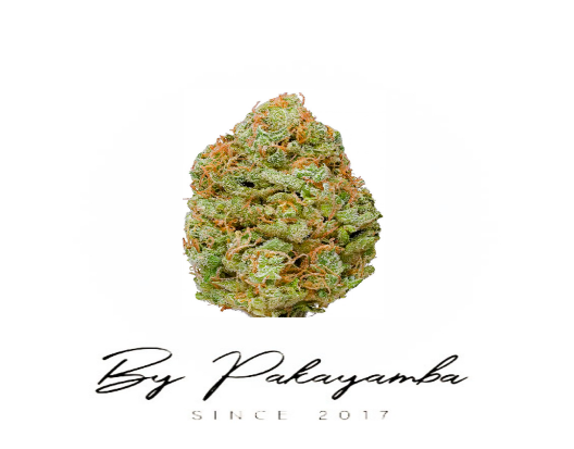 NYC DIESEL CBD | CBD pas cher | Code promo | Acheter du CBD en France | PAKAYAMBA