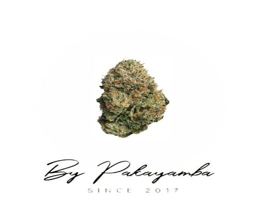 RUNT'Z KUSH CBD | INDOOR |14.5% CBD | CBD pas cher | Code promo ...