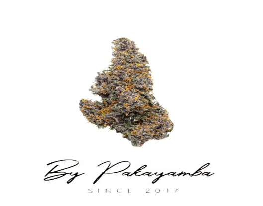 SAPPHIRE KUSH CBG ROSIN CBN | 71% CBN  | CBD pas cher | Code promo | Acheter du CBD en France | PAKAYAMBA