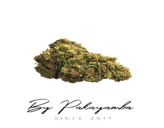 NOTHERN LIGHTS | INDOOR | 16% CBD  19% CBN | CBD pas cher | Code promo | Acheter du CBD en France | PAKAYAMBA