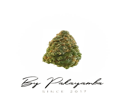 SOUR APPLE CANDY CBG ROSIN CBN | 66% CBN  | CBD pas cher | Code promo | Acheter du CBD en France | PAKAYAMBA