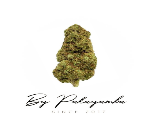 WHITE CHEESE CRYO CBG ROSIN CBN | 70% CBN  | CBD pas cher | Code promo | Acheter du CBD en France | PAKAYAMBA