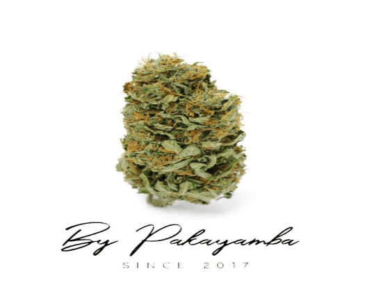 G13 SWISS INDOOR CBG | CBD pas cher | Code promo | Acheter du CBD en France | PAKAYAMBA