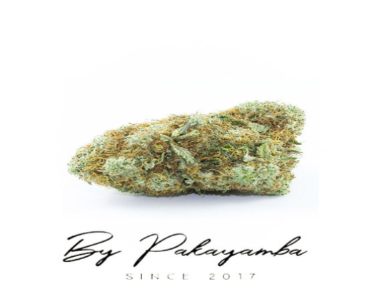 OG KUSH | INDOOR | 9.9 % CBD |  CBD pas cher | Code promo | Acheter du CBD en France | PAKAYAMBA