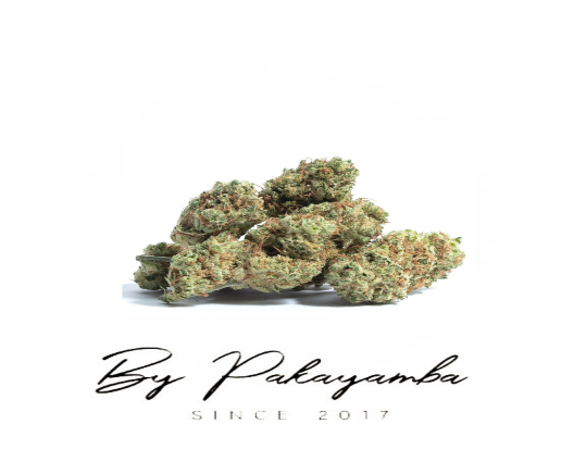 WEDDING CAKE CBD - HYDROPONIE | CBD pas cher | Code promo | Acheter du CBD en France | PAKAYAMBA