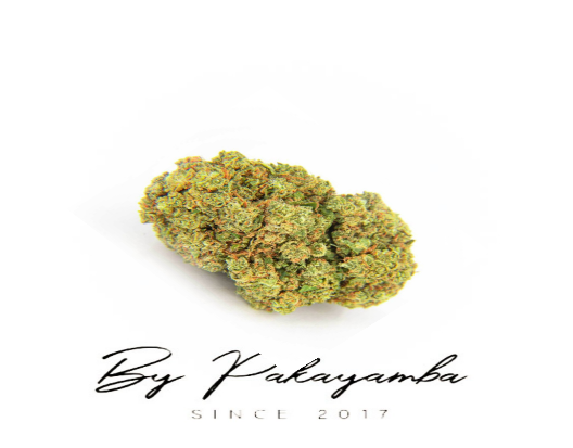 WHITE WIDOW CBG - HYDROPONIE  | CBD pas cher | Code promo | Acheter du CBD en France | PAKAYAMBA